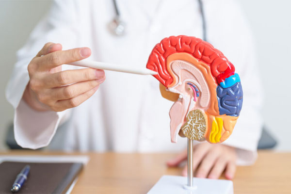 سکته مغزی سمت راست بدن