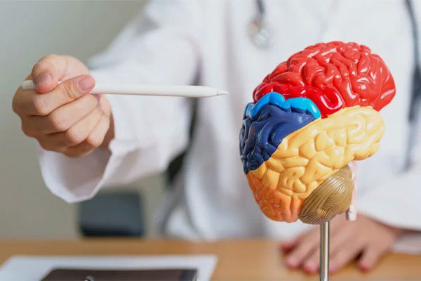 چه تعداد سکته، مرگ آور است؟